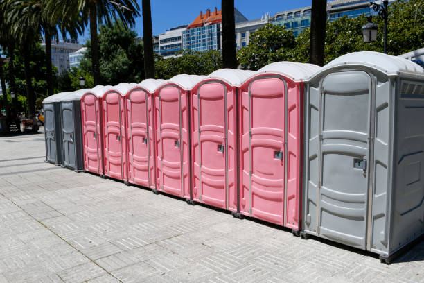 Types of Portable Toilets We Offer in Browntown, PA